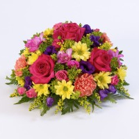 Sympathy & Funeral